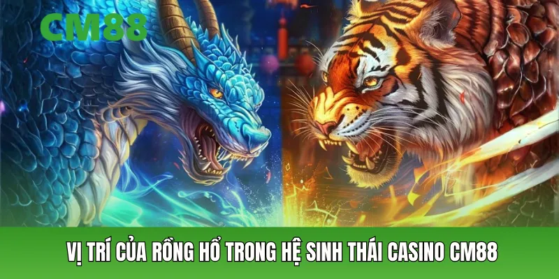 Vị trí của rồng hổ trong hệ sinh thái casino CM88